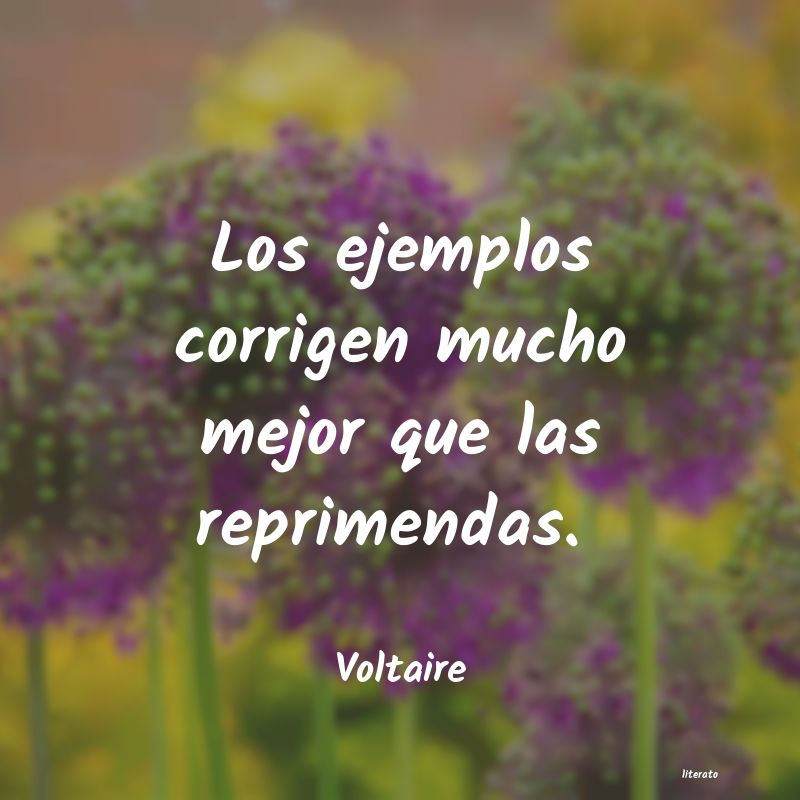 Frases de Voltaire