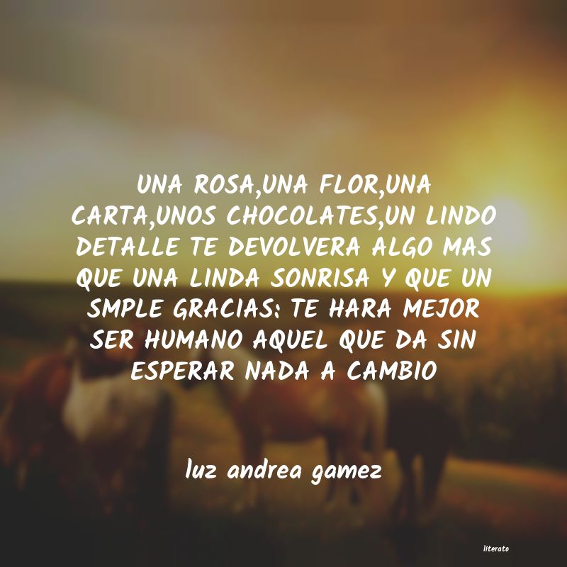 Frases de luz andrea gamez