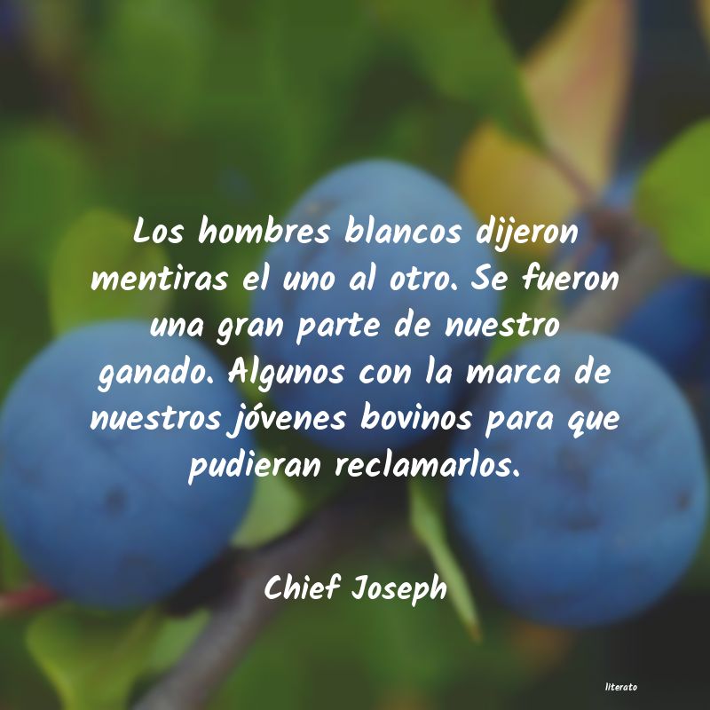 frases de Chief Joseph