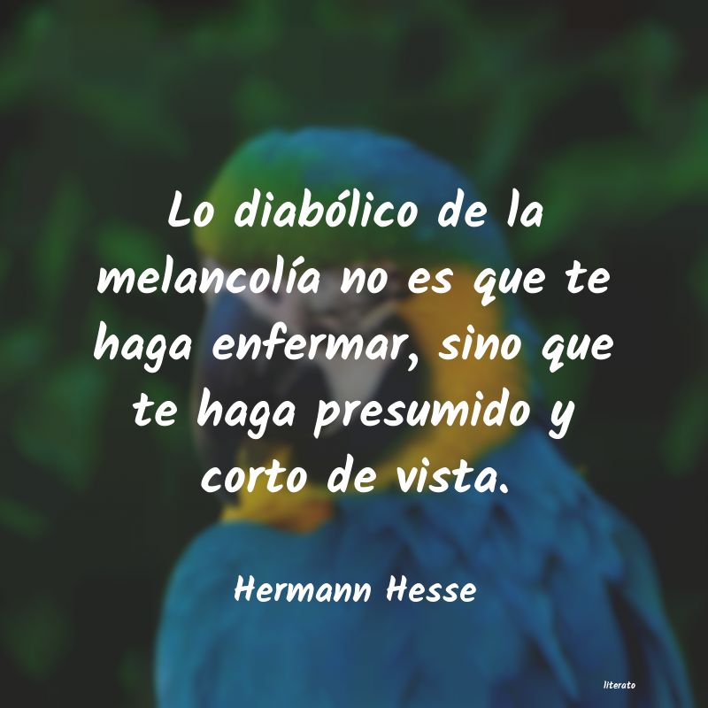 frases de Hermann Hesse