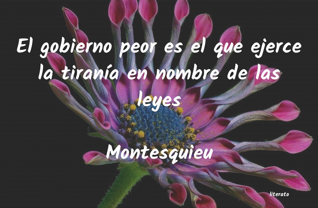 frases de Montesquieu