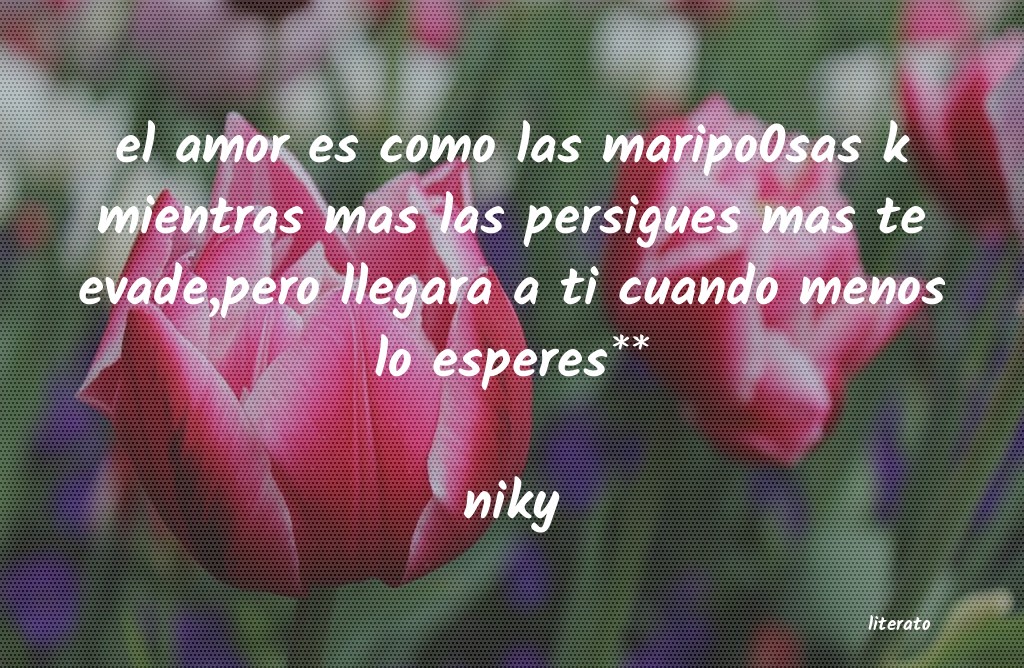 Frases de niky