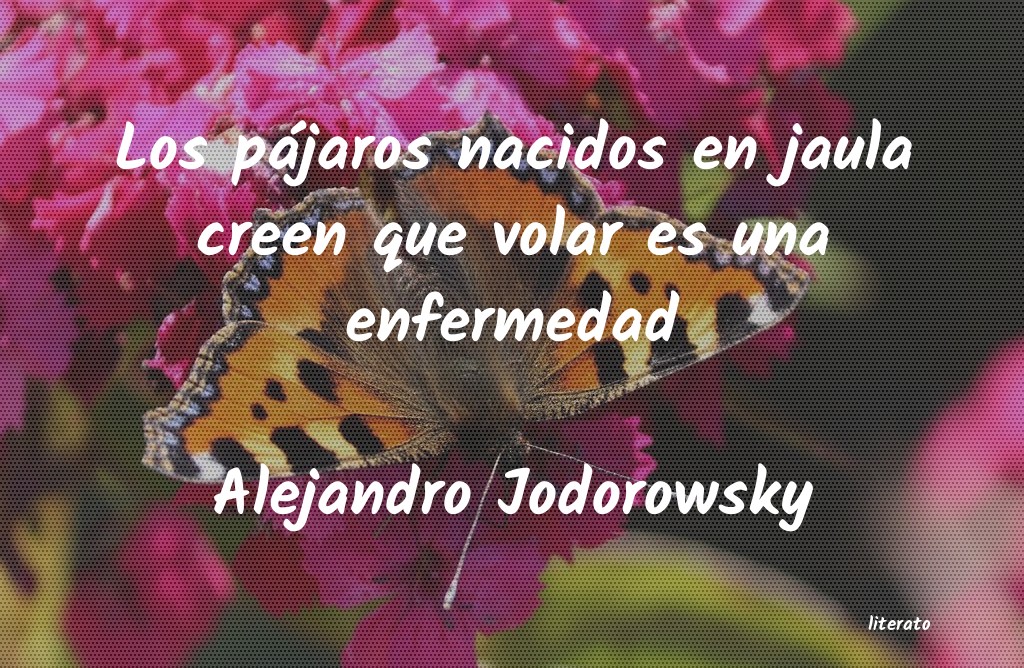 Frases de Alejandro Jodorowsky