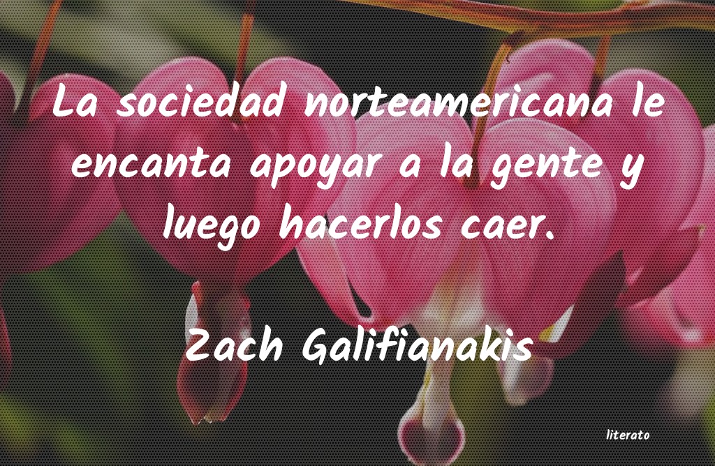 Frases de Zach Galifianakis