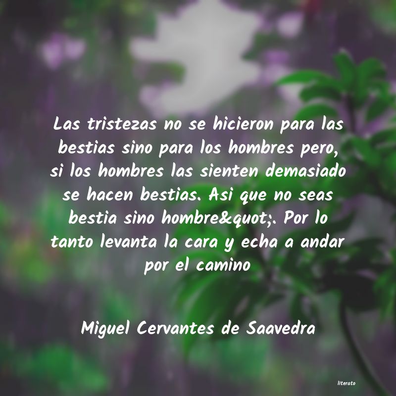 frases de Miguel Cervantes de Saavedra