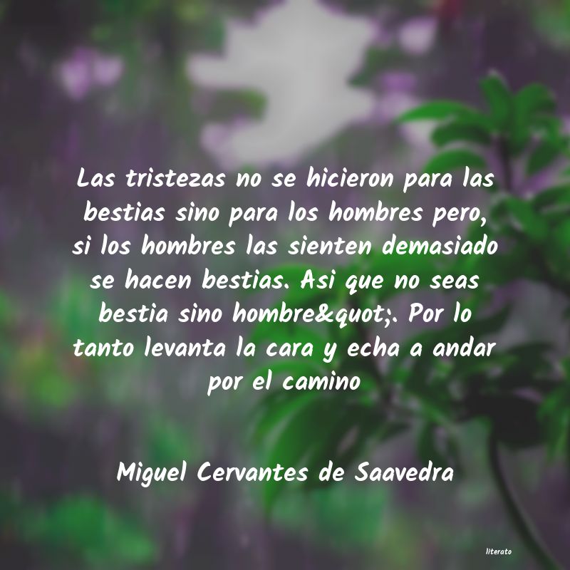 pensamiento de miguel de cervantes saavedra