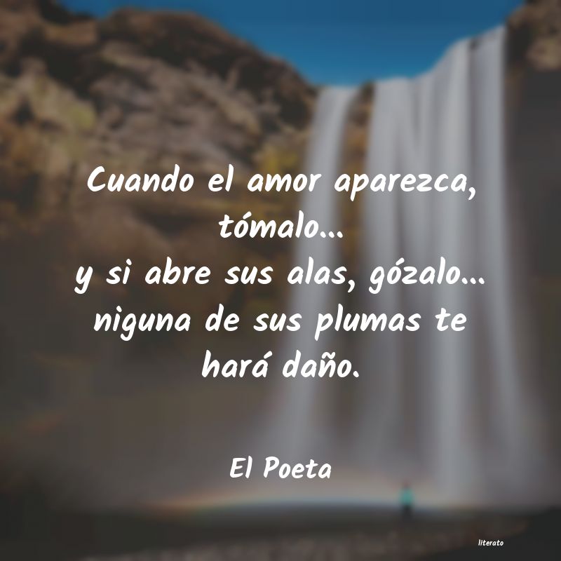 Frases de El Poeta