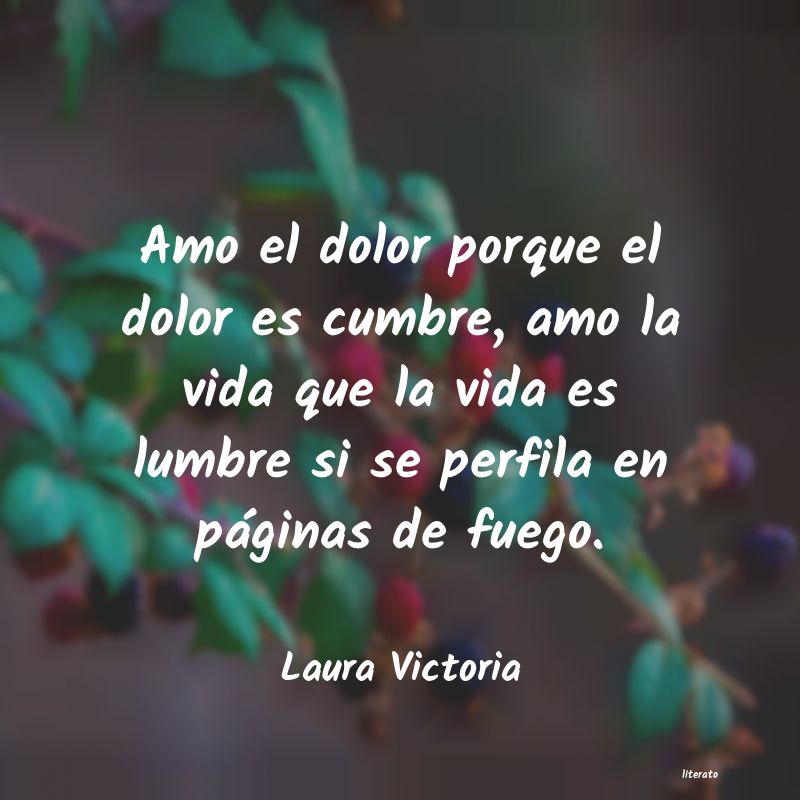 Frases de Laura Victoria