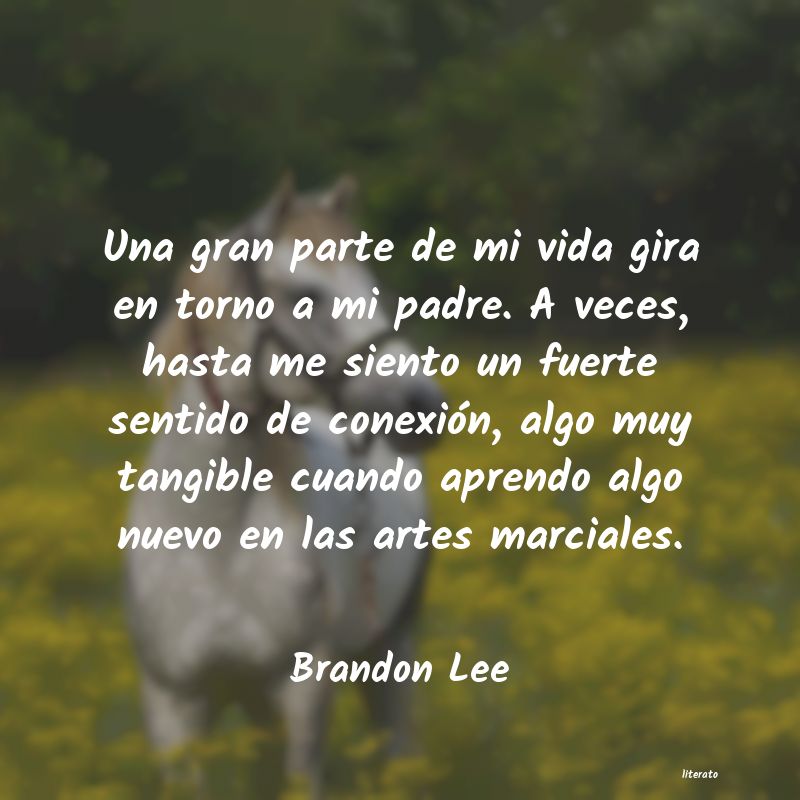 Frases de Brandon Lee