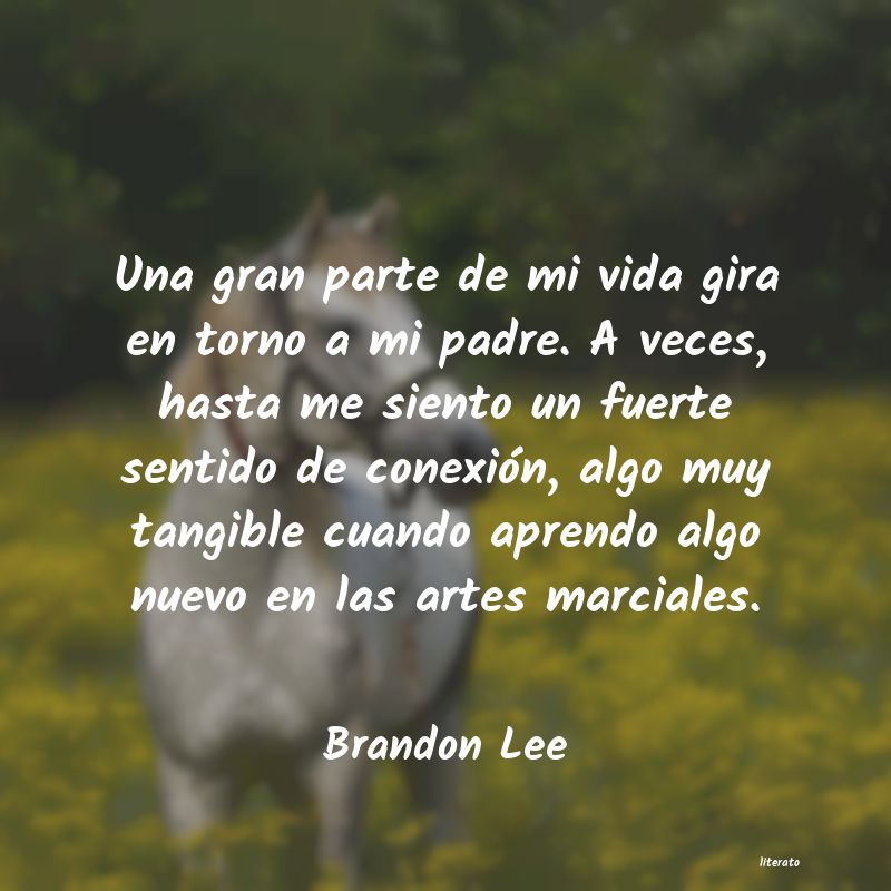 frases de Brandon Lee