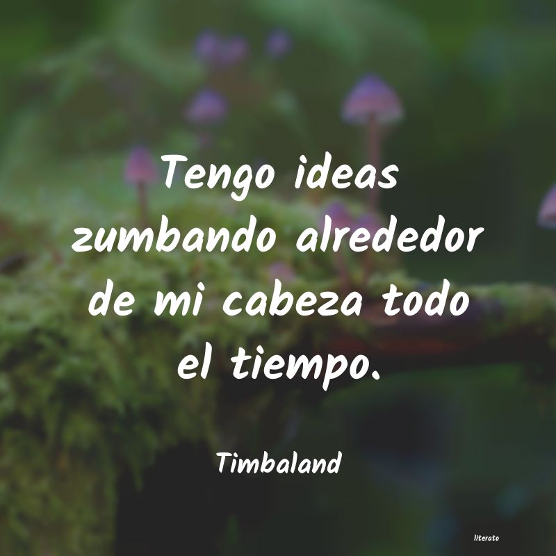 frases de Timbaland