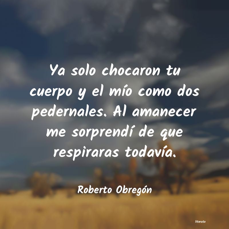 Frases de Roberto Obregón