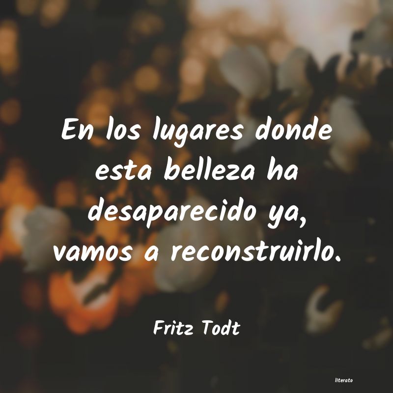 frases de Fritz Todt