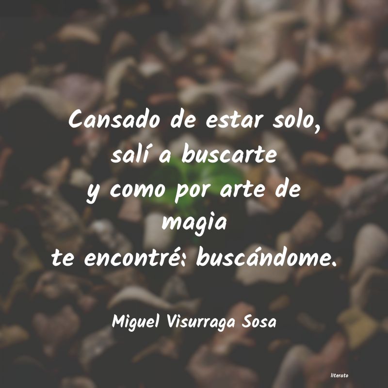 frases de Miguel Visurraga Sosa