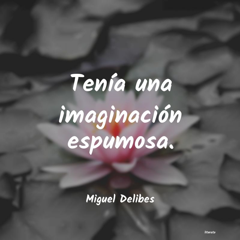frases de Miguel Delibes