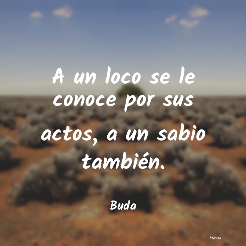 frases de Buda