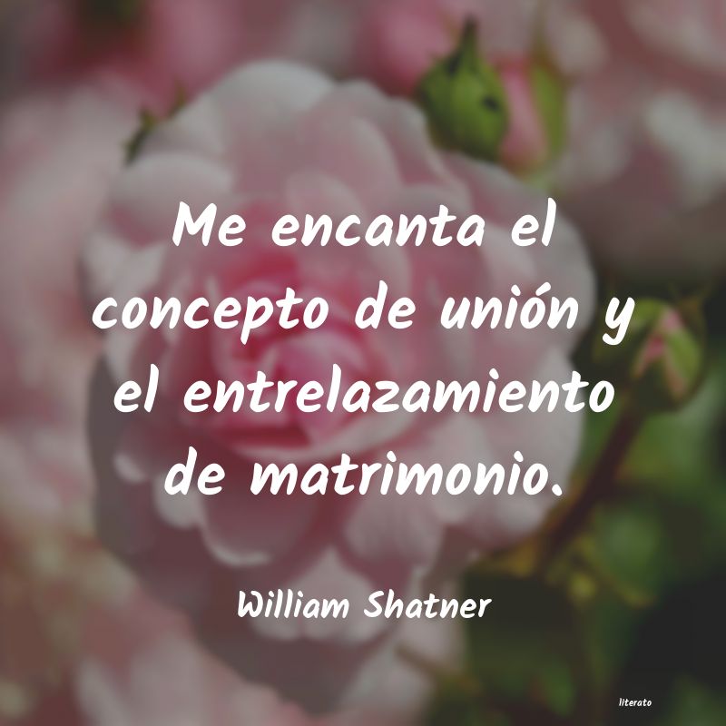 Frases de William Shatner