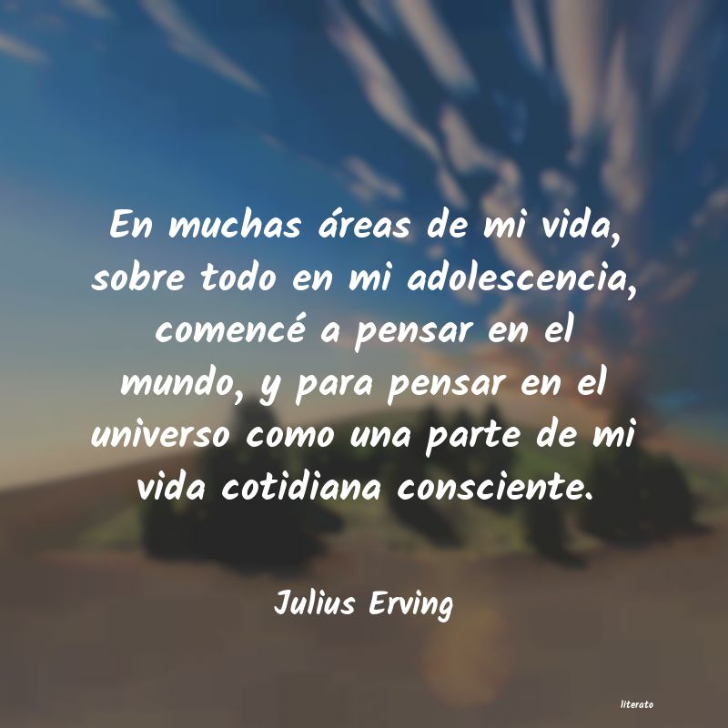 Frases de Julius Erving