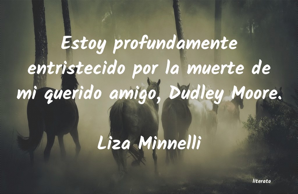 Frases de Liza Minnelli