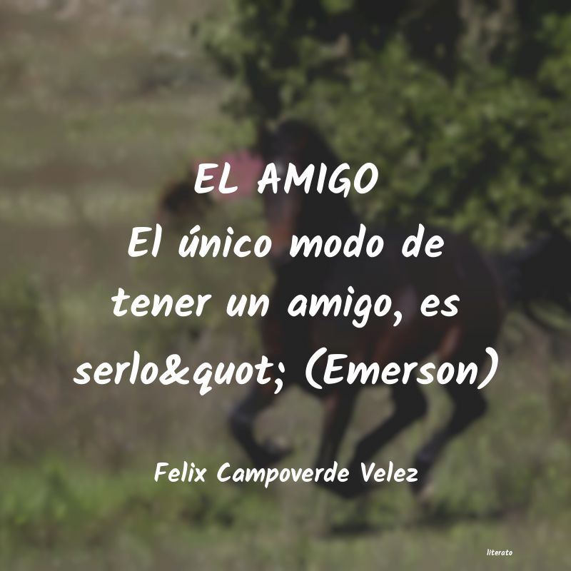 frases de Felix Campoverde Velez