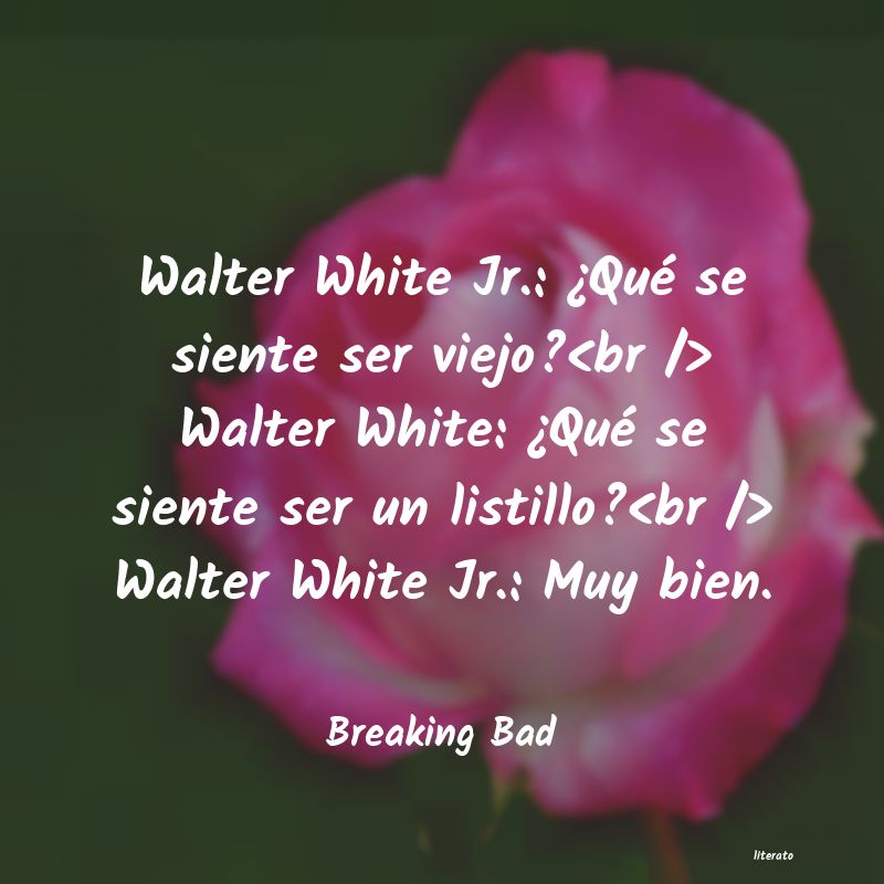 frases de Breaking Bad