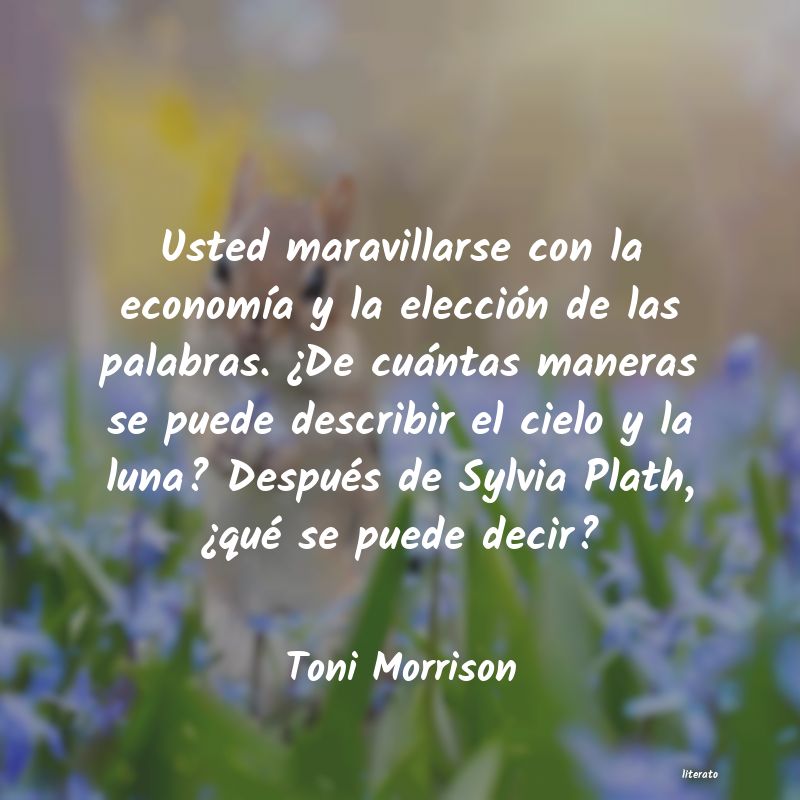 Frases de Toni Morrison