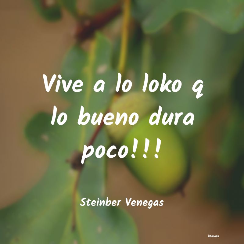 Frases de Steinber Venegas