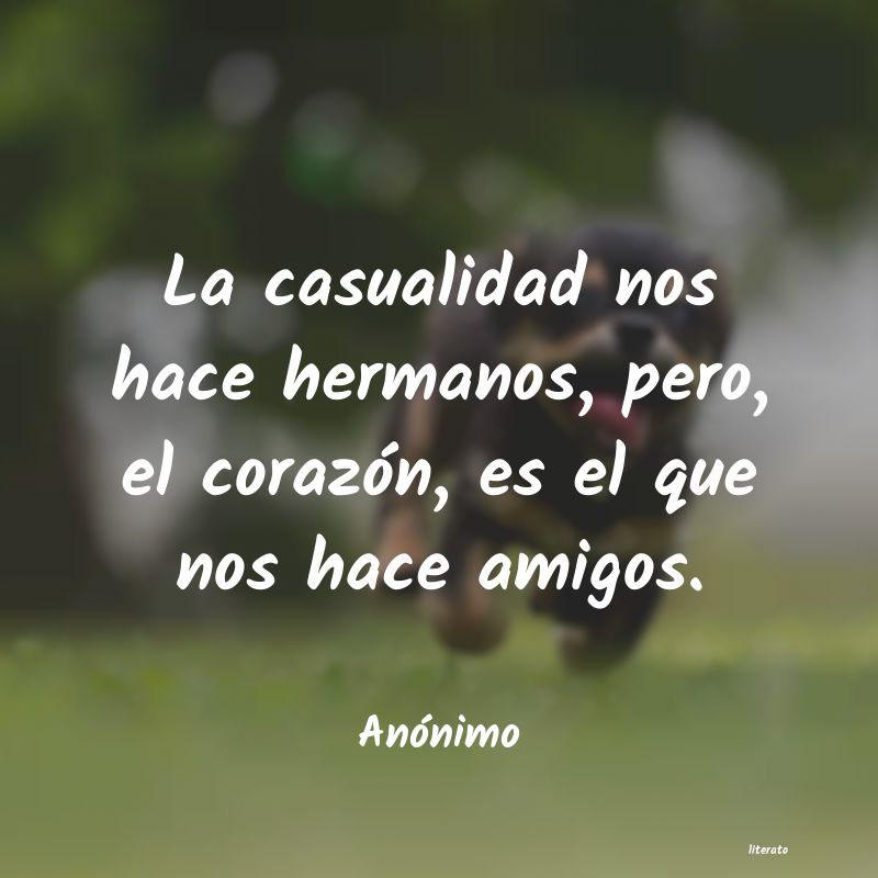 frases de hermanos separados