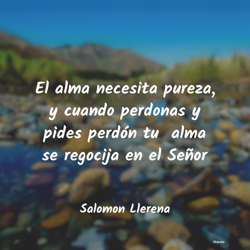 Frases de Salomon Llerena