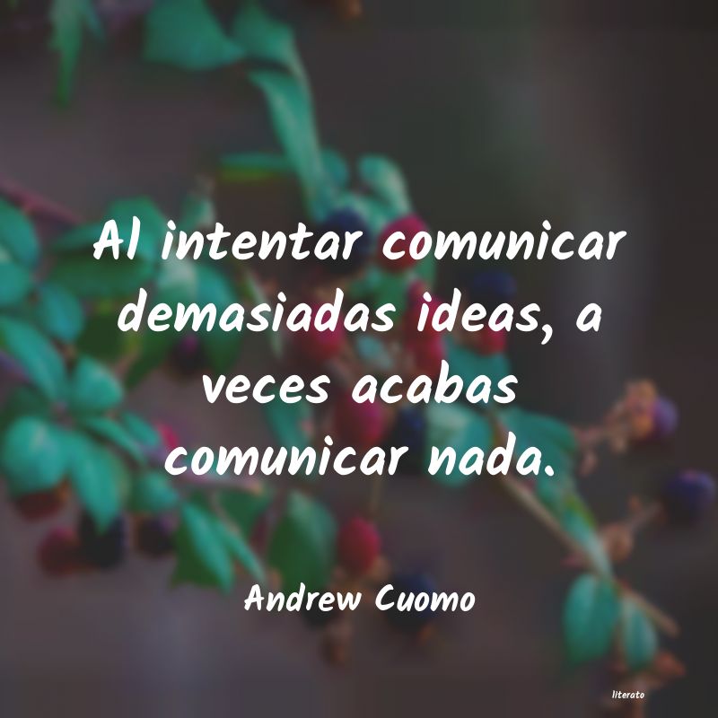 frases de Andrew Cuomo