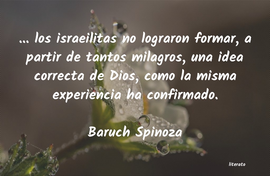 Frases de Baruch Spinoza