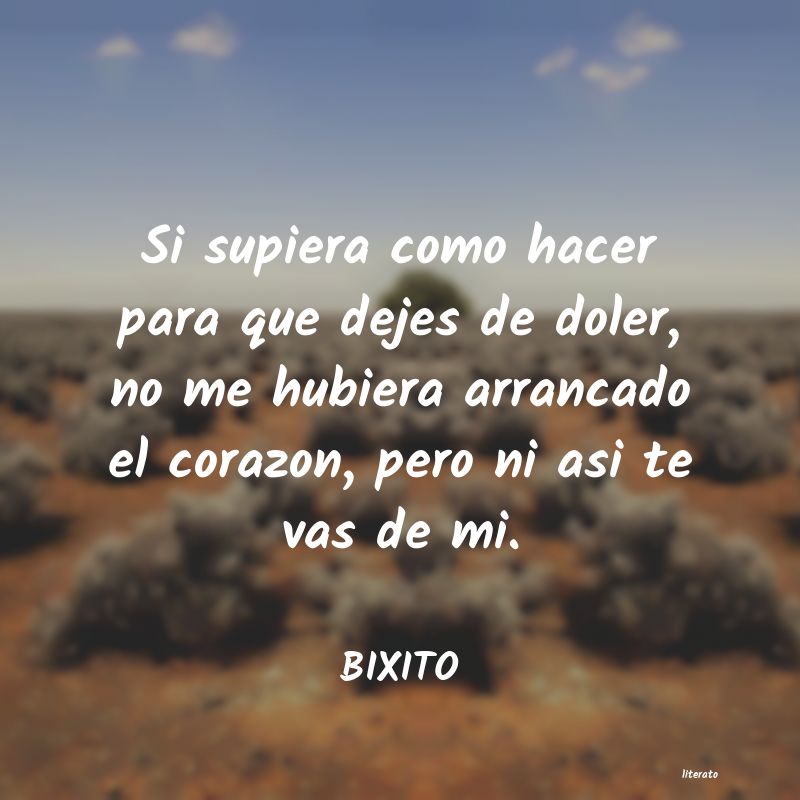frases de BIXITO