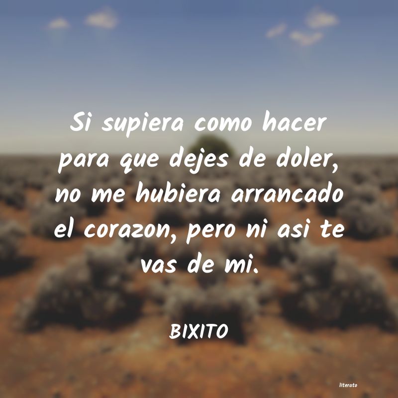 Frases de BIXITO