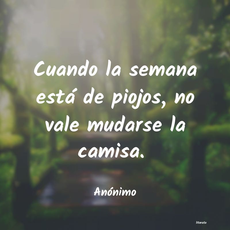frases