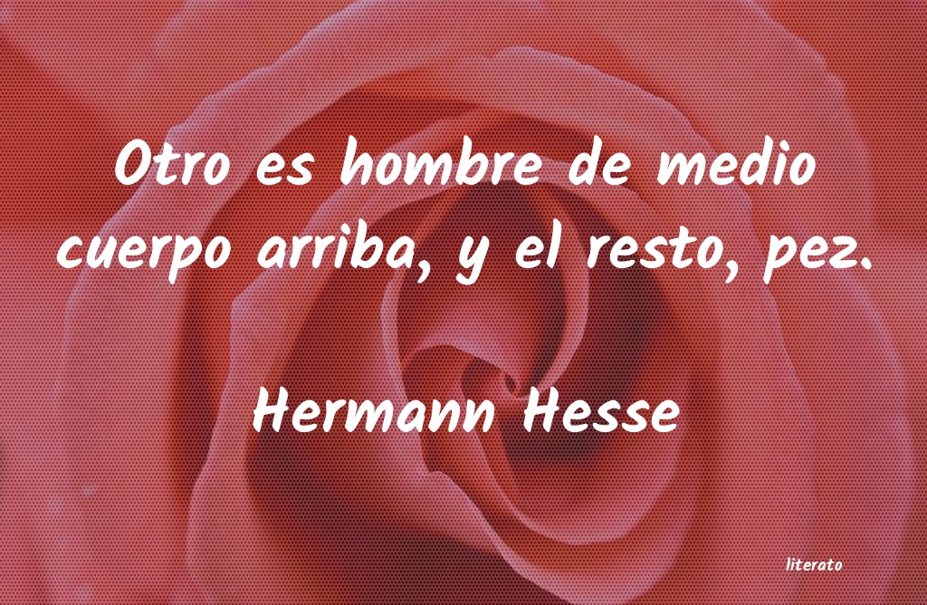 Frases de Hermann Hesse