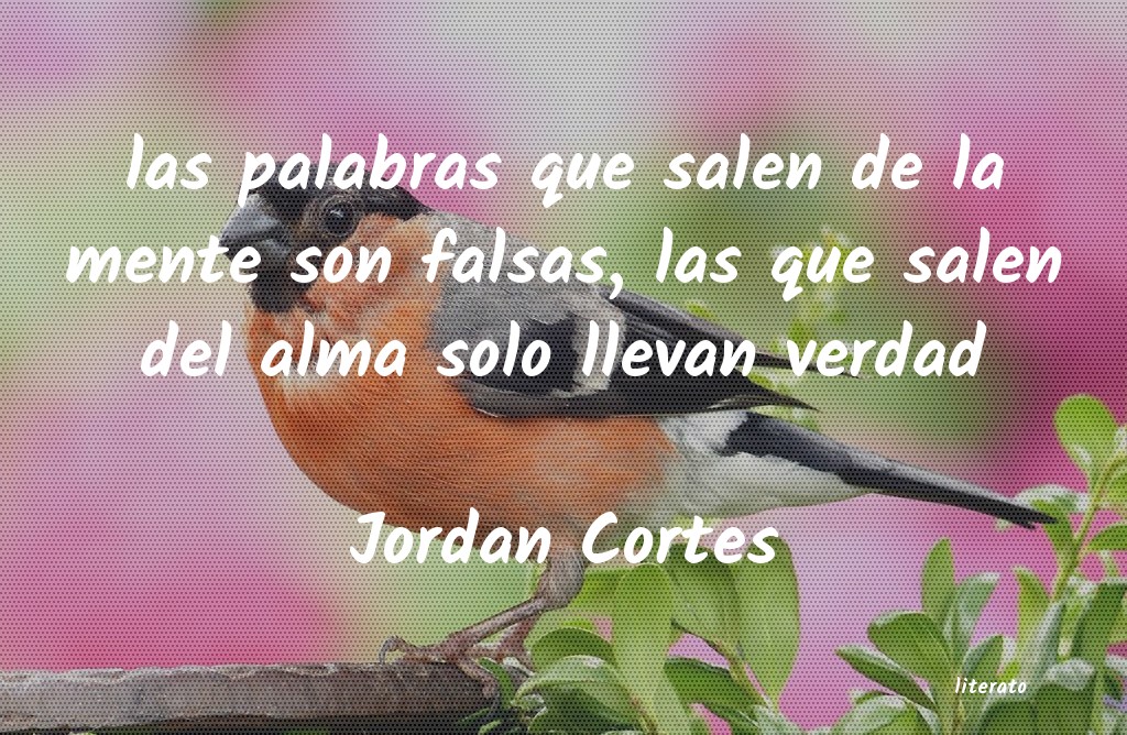 frases de Jordan Cortes