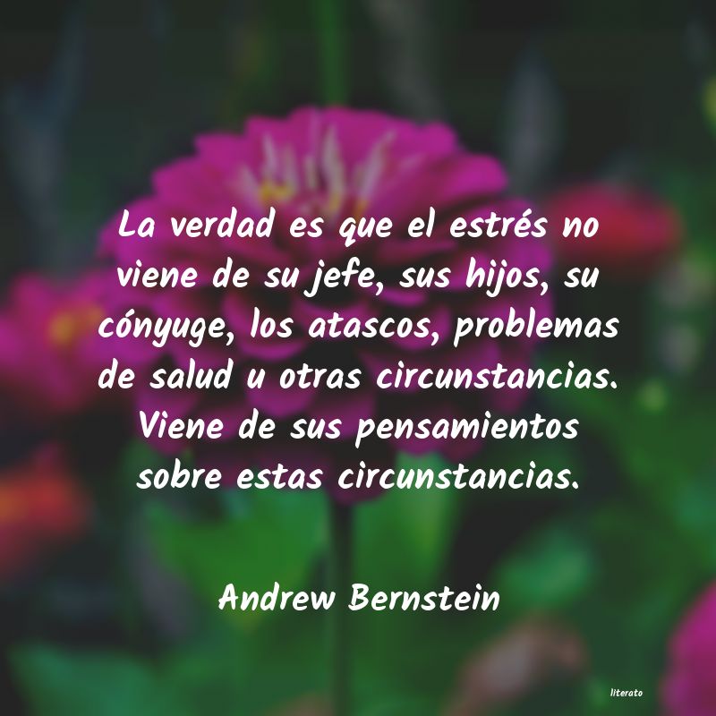 Frases de Andrew Bernstein