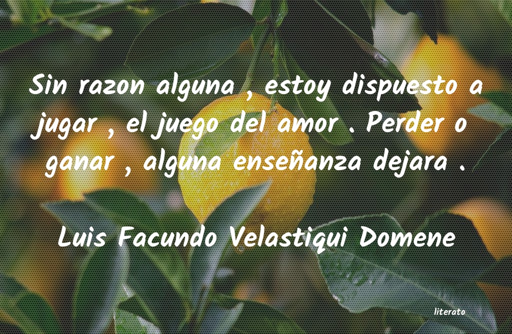 Frases de Luis Facundo Velastiqui Domene