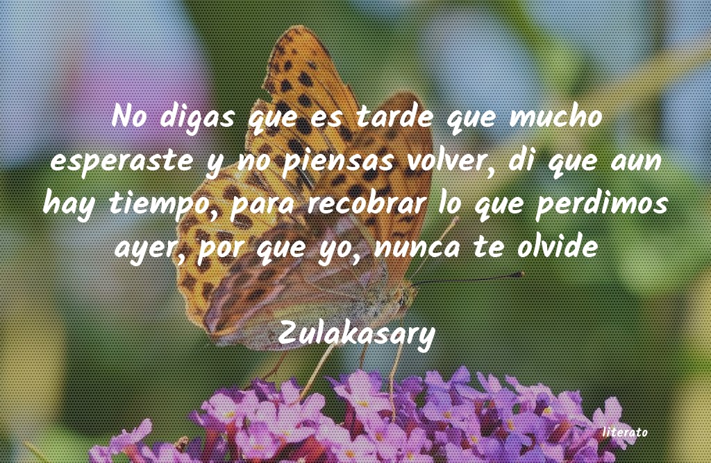 frases de Zulakasary