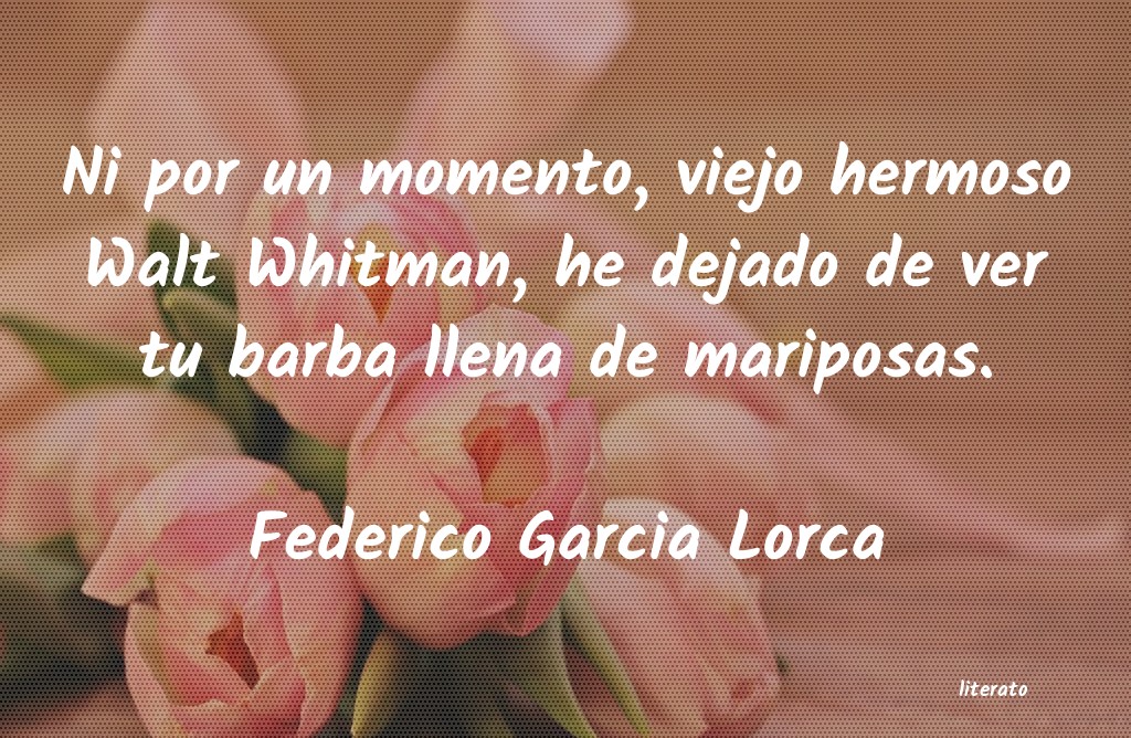 Frases de Federico Garcia Lorca