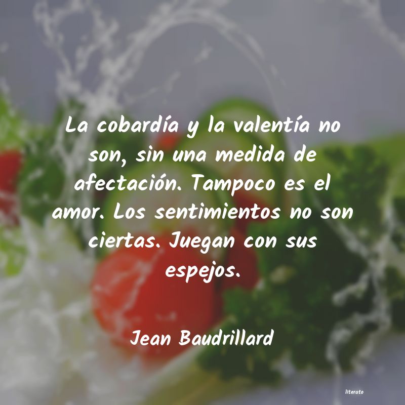 Frases de Jean Baudrillard