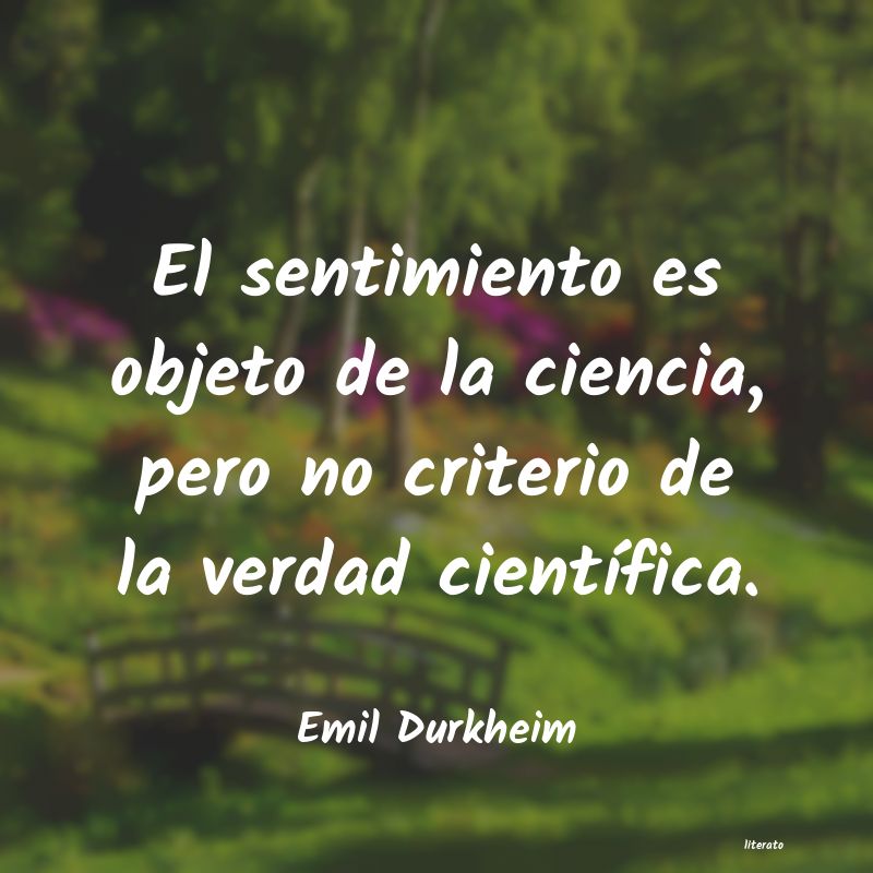 Frases de Emil Durkheim