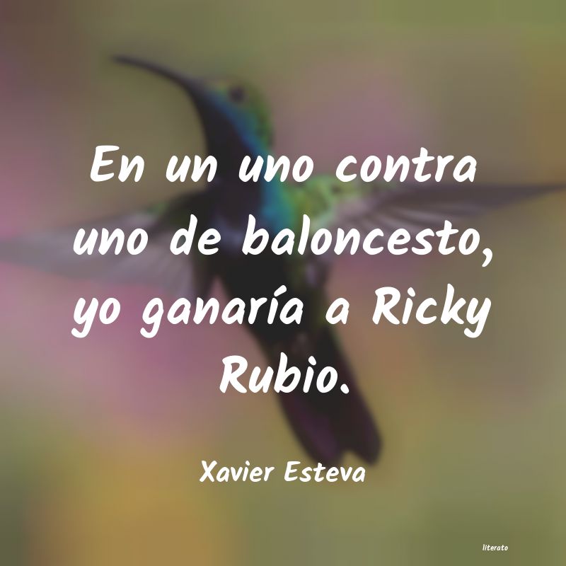 frases de Xavier Esteva