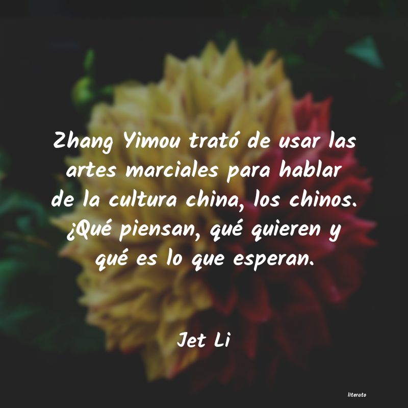 Frases de Jet Li