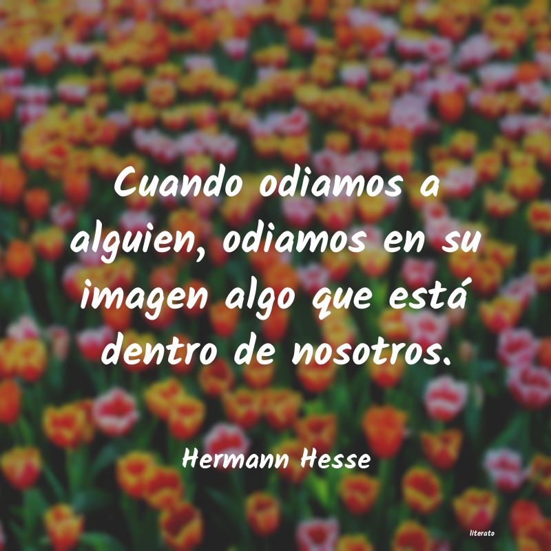 Frases de Hermann Hesse