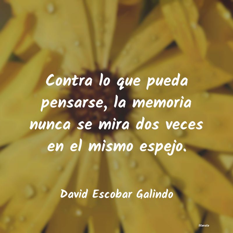 Frases de David Escobar Galindo