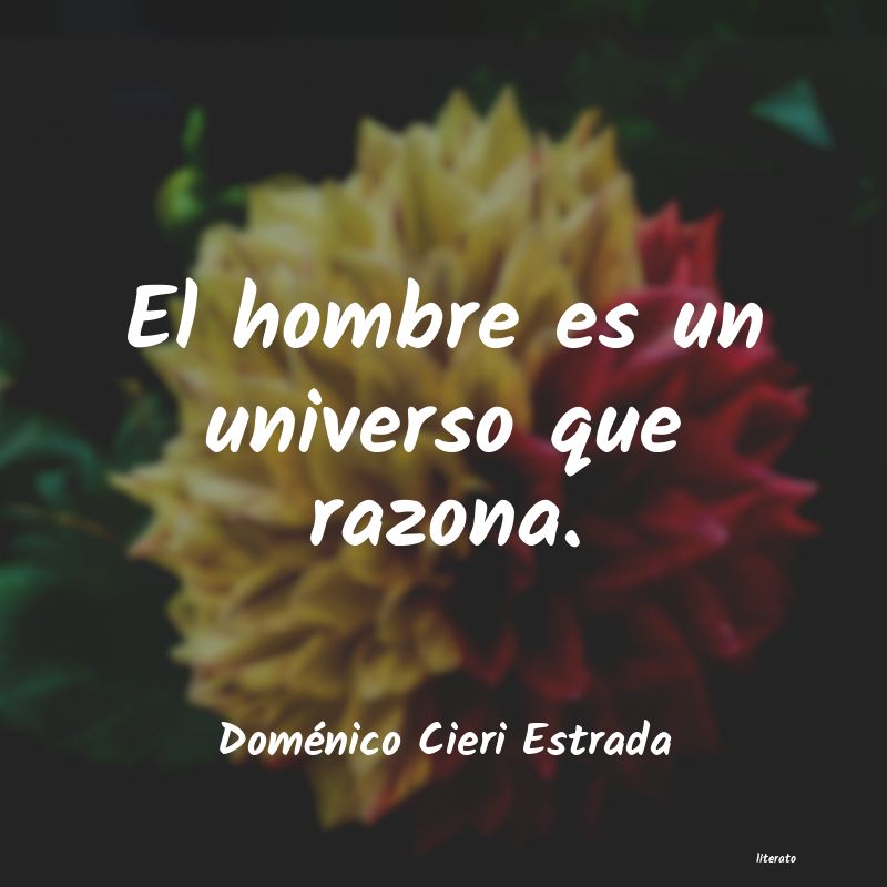 Frases de Doménico Cieri Estrada