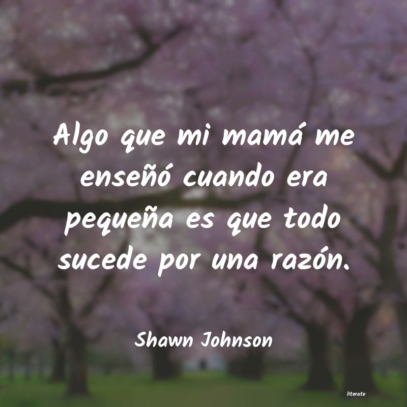 Frases de Shawn Johnson