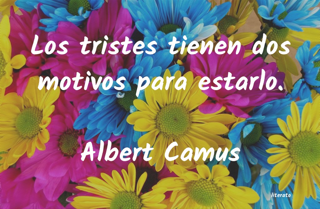 frases de Albert Camus