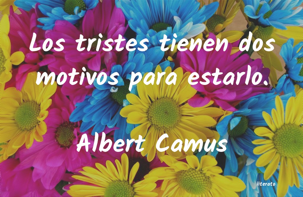 Frases de Albert Camus